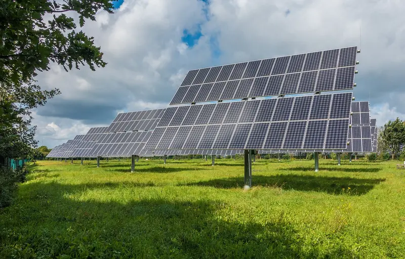 Impianto agrivoltaico su terreno agricolo con prato sotto i moduli fotovoltaici
